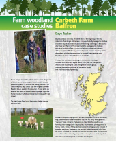 Farm Woodland Case Studies: Carbeth Farm